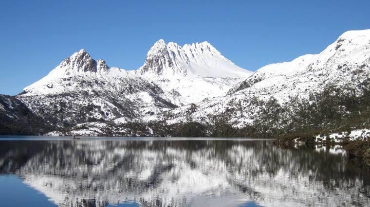 فندق مول كريك جست هاوس Mole Creek المظهر الخارجي الصورة